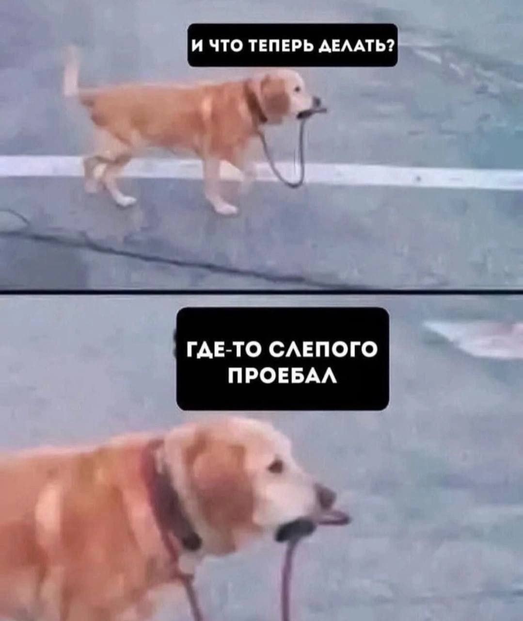 Картинка из ленты приколов