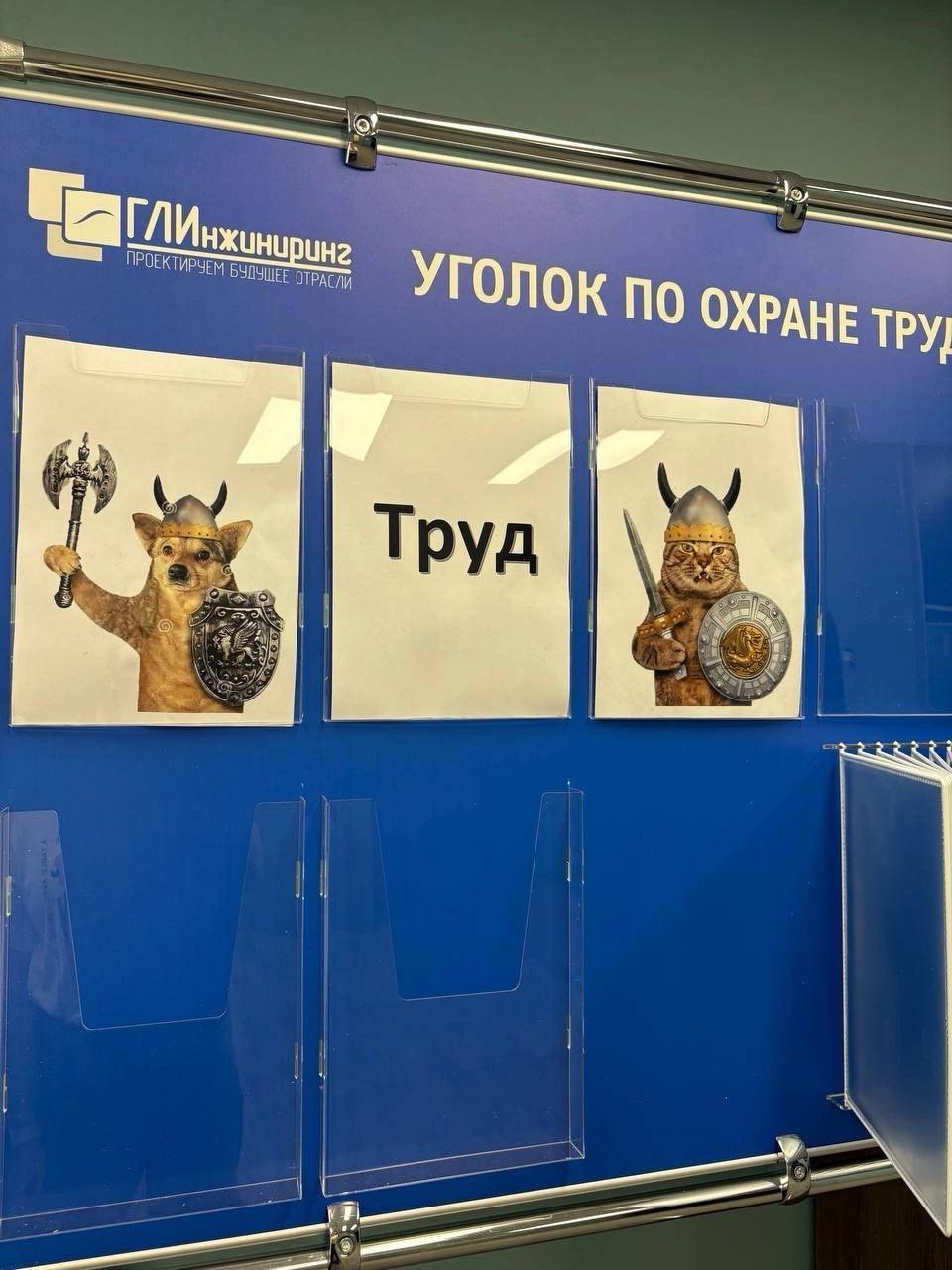 Картинка из ленты приколов