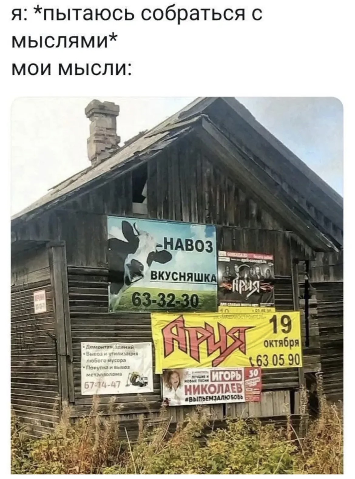 Картинка из ленты приколов